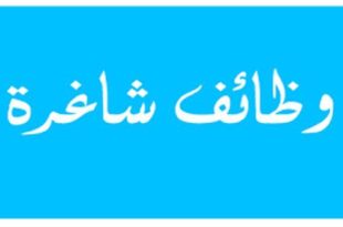 jobs opportunities_999998769786478964789643333