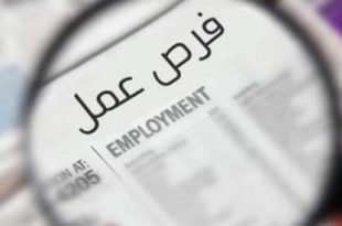 وظائف خالية_1241241241