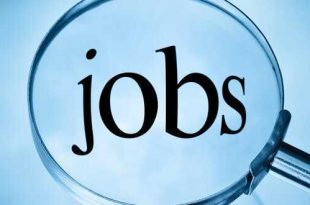 jobs opportunities_99999784567894978564789999976433333