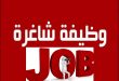jobs opportunities_9999987645978649786433333