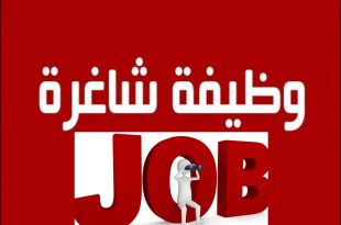 jobs opportunities_9999987645978649786433333